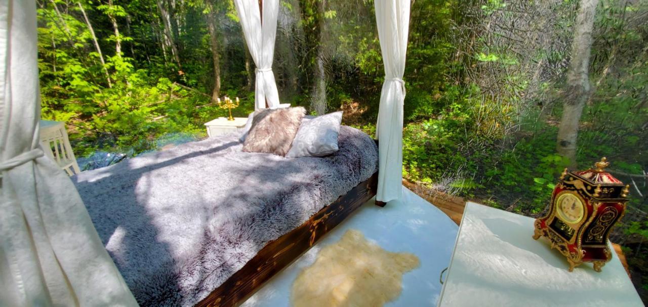 La Cabane Secrete Matane Luaran gambar